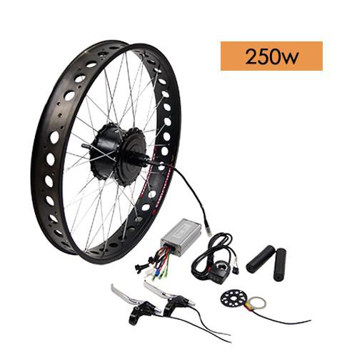 BAFANG 36/48V 250W G06 Fat Tyre Bike Rear Wheel Motor Conversion Kit