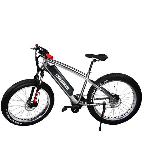 Electric Bike 48v 1000w High Speed 26*4 Big Snow Bike Fat Tyre Electric Bicycles FR-26B Snow E-Bike