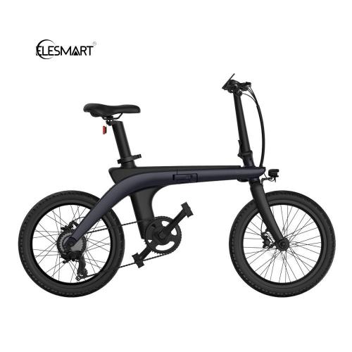 carbon fiber electric bike