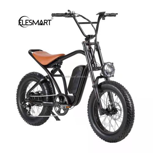 Cnebikes Manufacture Mountain E-bike Ebike Beach Bike 48V 500/750w/1000w Electric Vintage Bike Bicycle FR20A